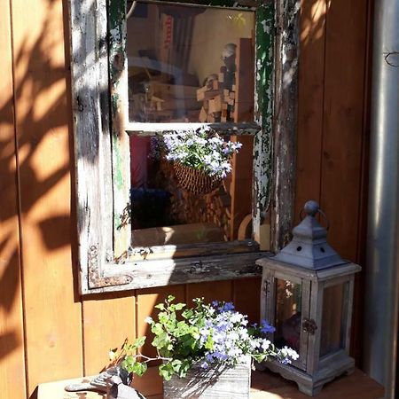 Apartment Zeitreise Quedlinburg Eksteriør bilde
