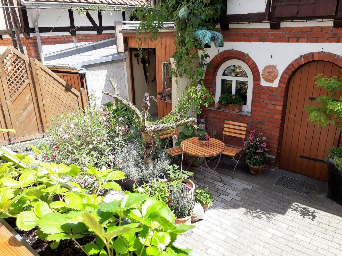Apartment Zeitreise Quedlinburg Eksteriør bilde