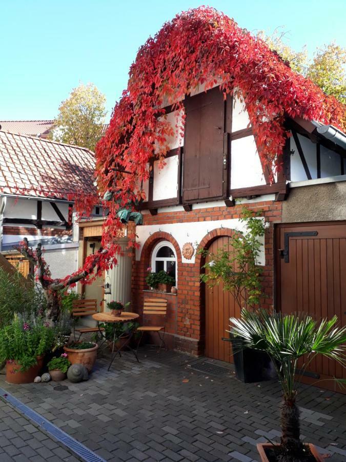 Apartment Zeitreise Quedlinburg Eksteriør bilde